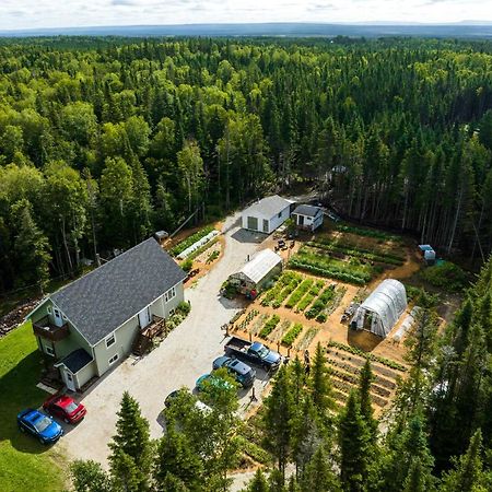 Upper Humber Settlement A Farmstay B&B Cormack Zewnętrze zdjęcie