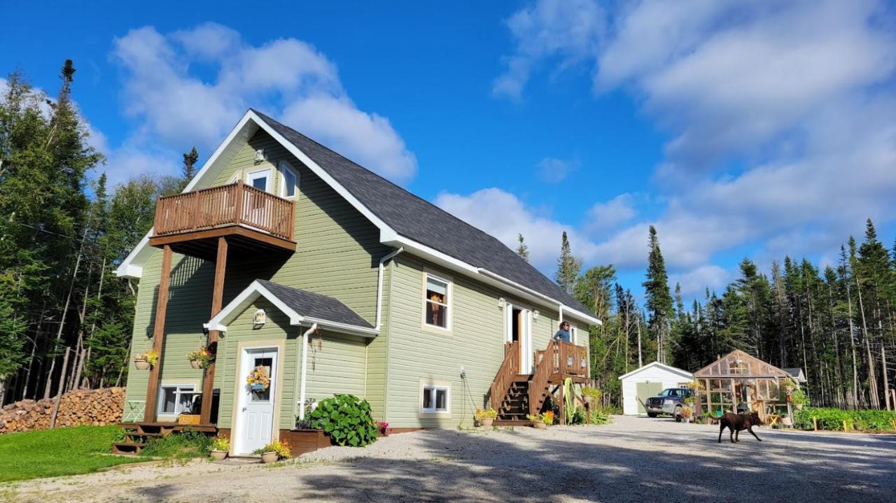 Upper Humber Settlement A Farmstay B&B Cormack Zewnętrze zdjęcie