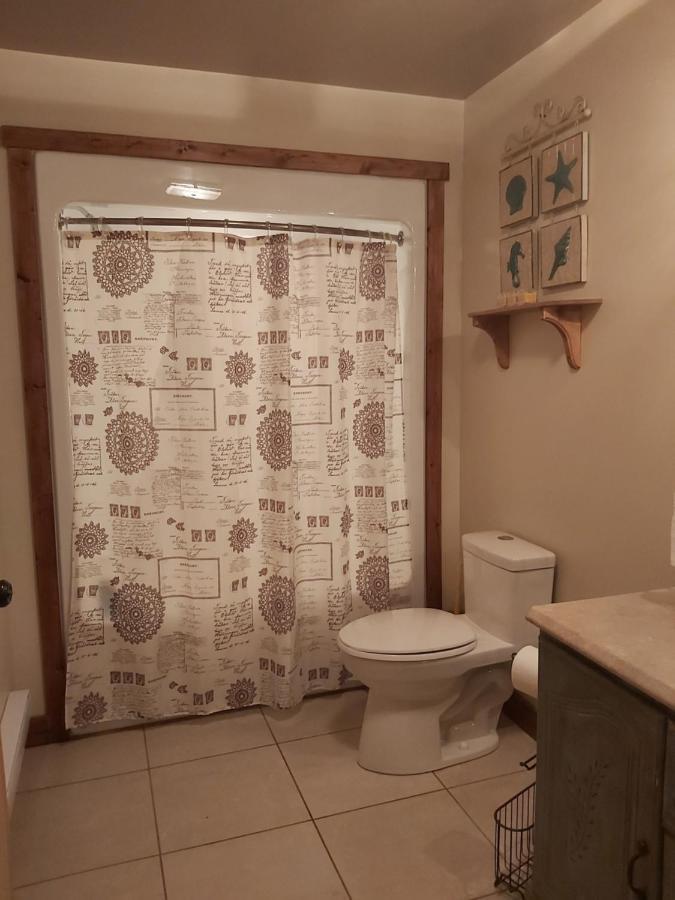 Upper Humber Settlement A Farmstay B&B Cormack Zewnętrze zdjęcie