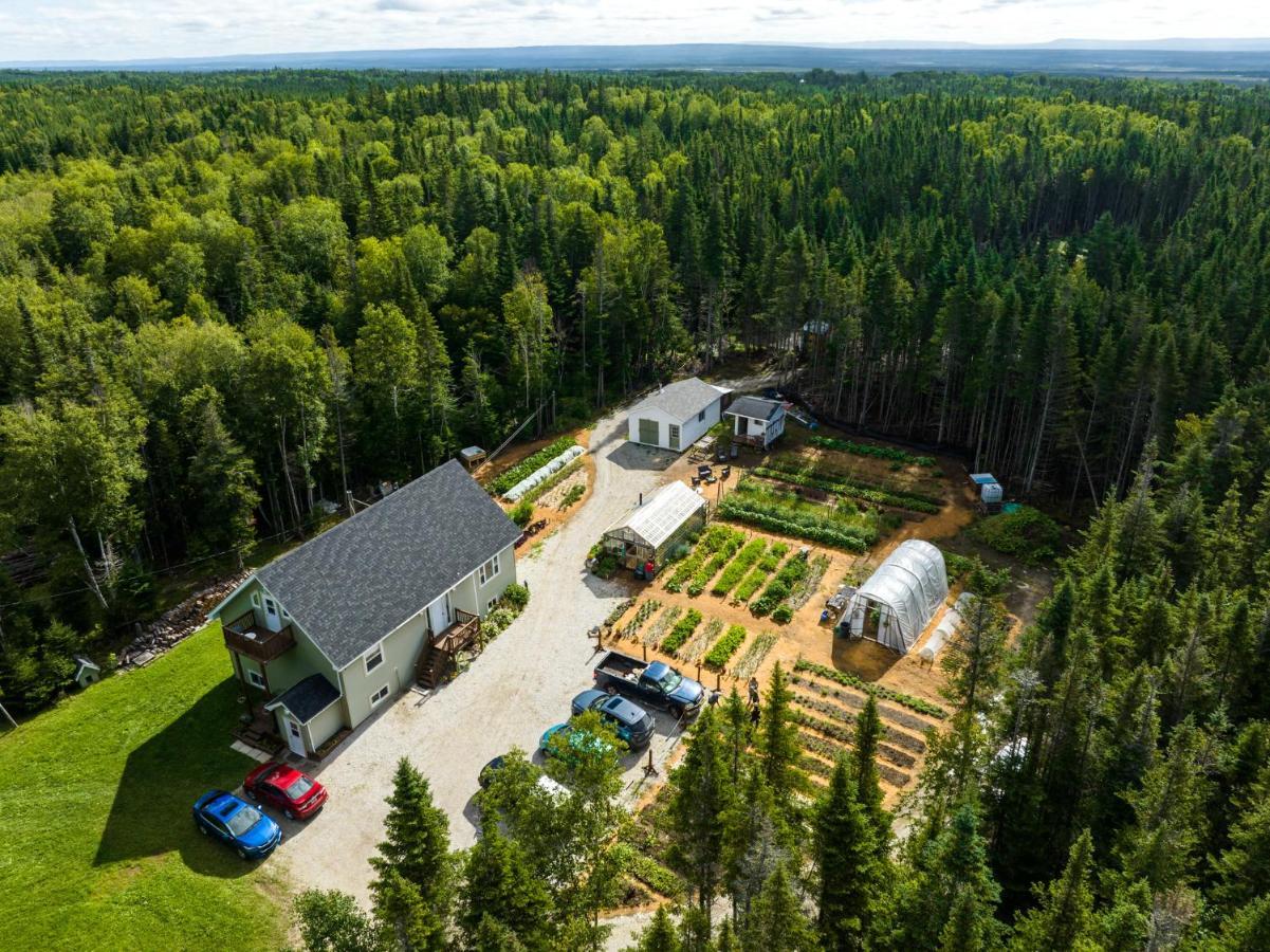 Upper Humber Settlement A Farmstay B&B Cormack Zewnętrze zdjęcie