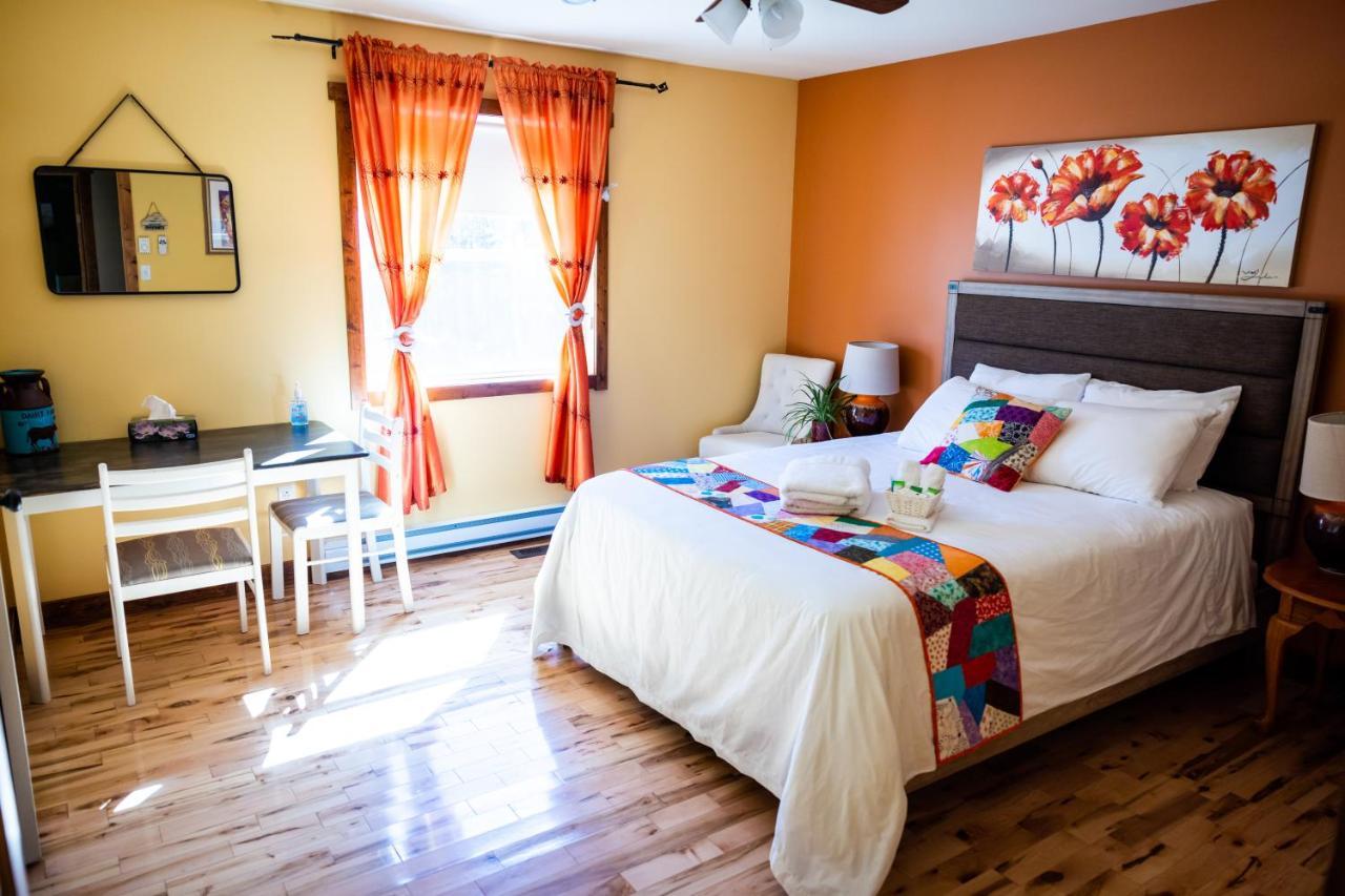 Upper Humber Settlement A Farmstay B&B Cormack Zewnętrze zdjęcie